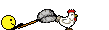 chasing a chicken